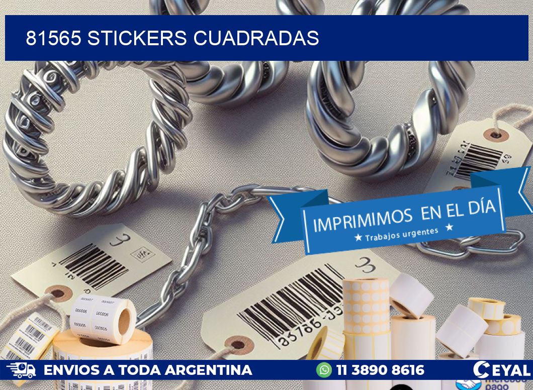 81565 stickers cuadradas