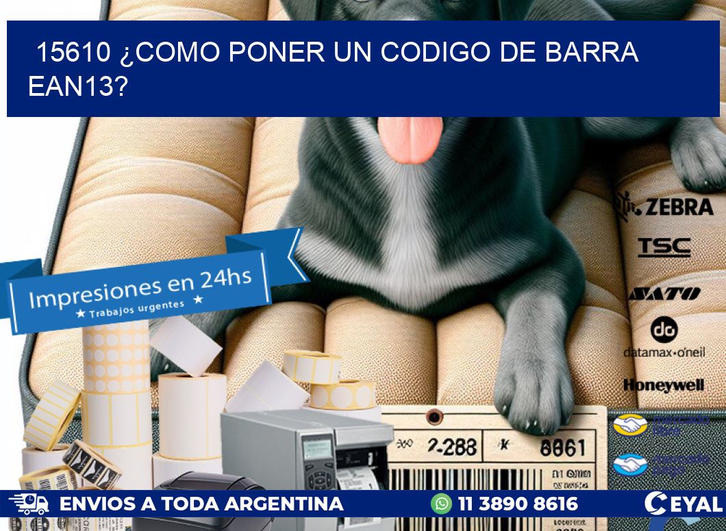 15610 ¿COMO PONER UN CODIGO DE BARRA  EAN13?
