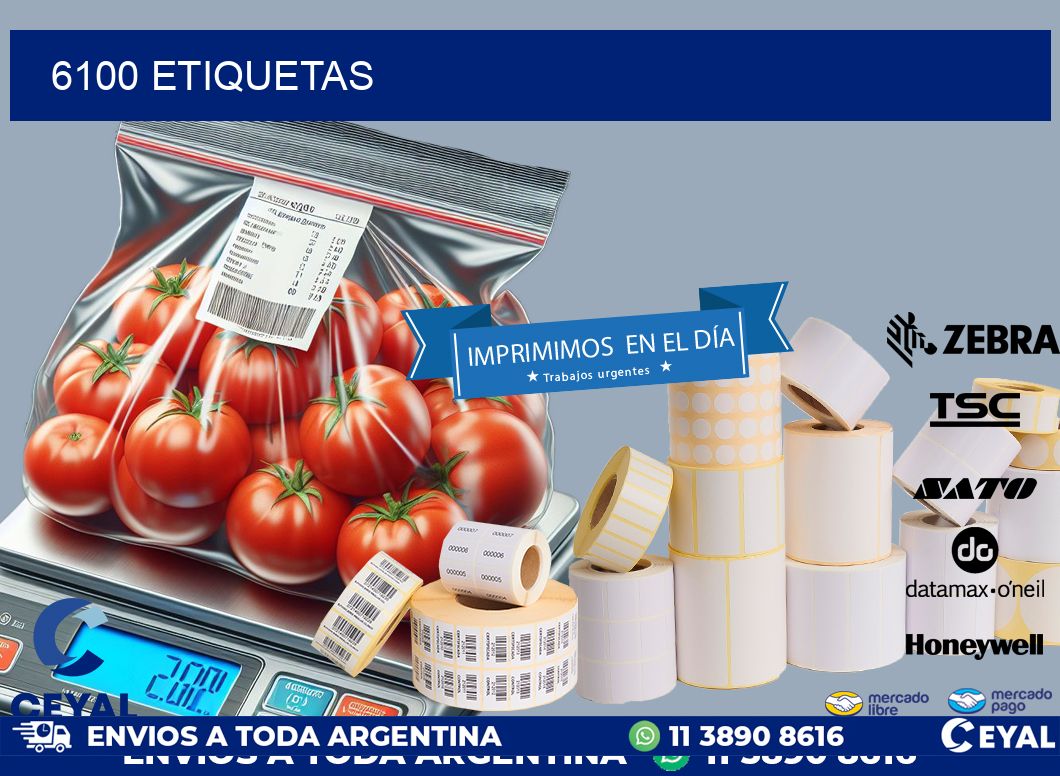 6100 ETIQUETAS