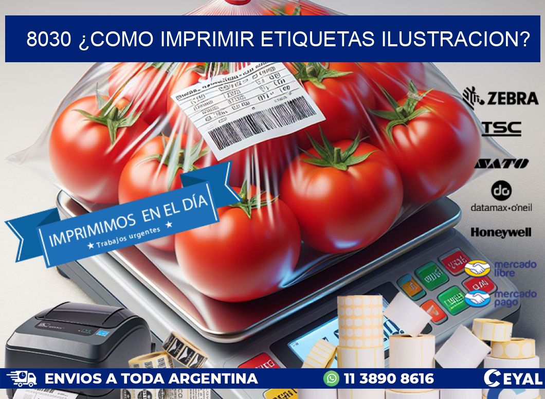 8030 ¿COMO IMPRIMIR ETIQUETAS ILUSTRACION?