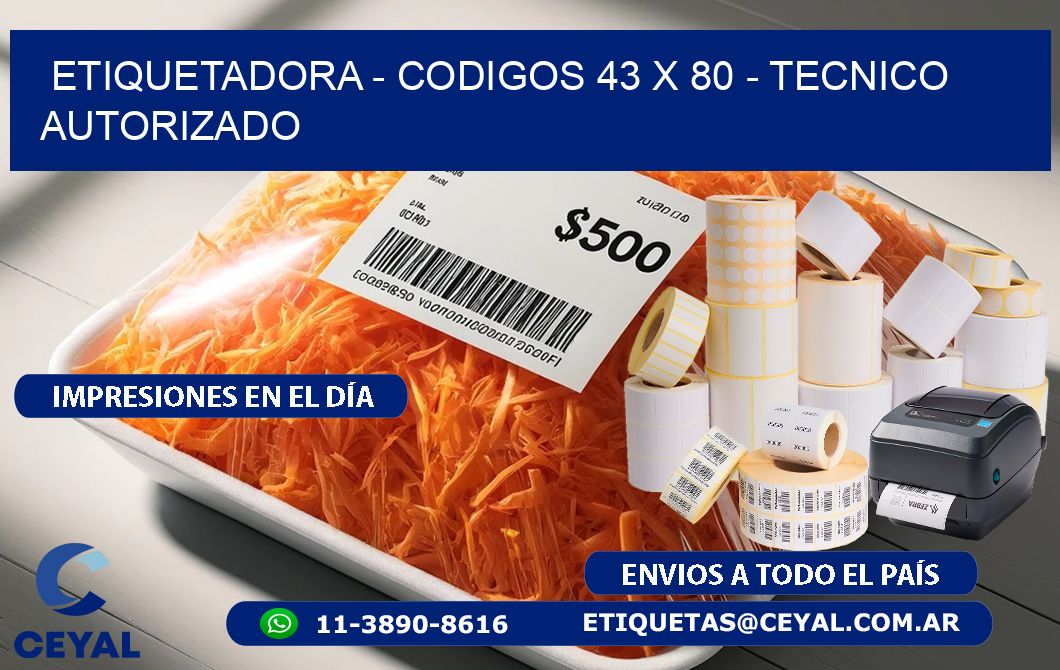 ETIQUETADORA - CODIGOS 43 x 80 - TECNICO AUTORIZADO