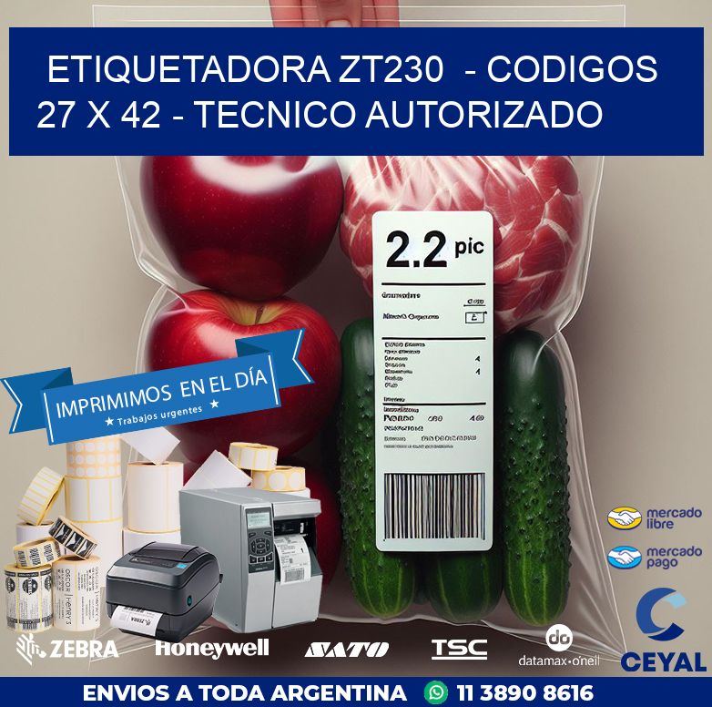 ETIQUETADORA ZT230  – CODIGOS  27 x 42 – TECNICO AUTORIZADO