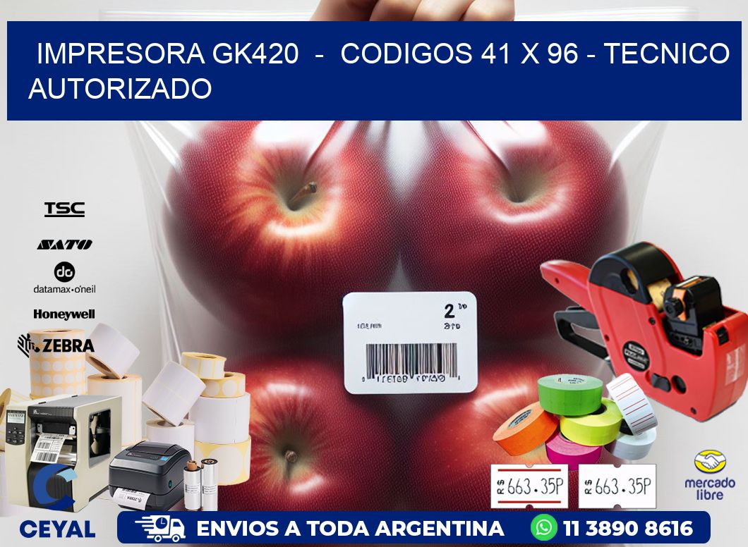 IMPRESORA GK420 - CODIGOS 41 x 96 - TECNICO AUTORIZADO