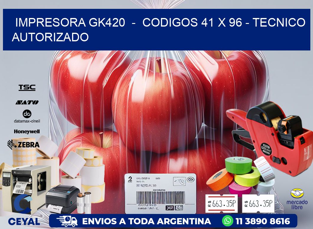IMPRESORA GK420 - CODIGOS 41 x 96 - TECNICO AUTORIZADO