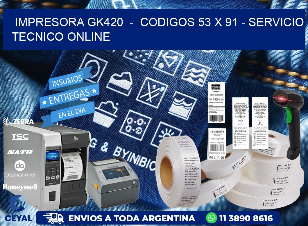 IMPRESORA GK420  -  CODIGOS 53 x 91 - SERVICIO TECNICO ONLINE