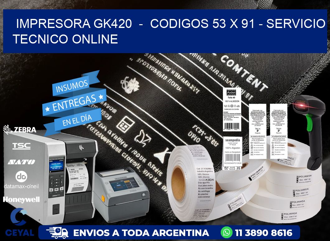 IMPRESORA GK420  -  CODIGOS 53 x 91 - SERVICIO TECNICO ONLINE
