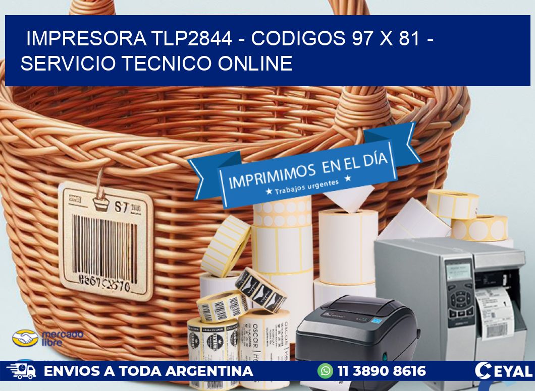 IMPRESORA TLP2844 - CODIGOS 97 x 81 - SERVICIO TECNICO ONLINE