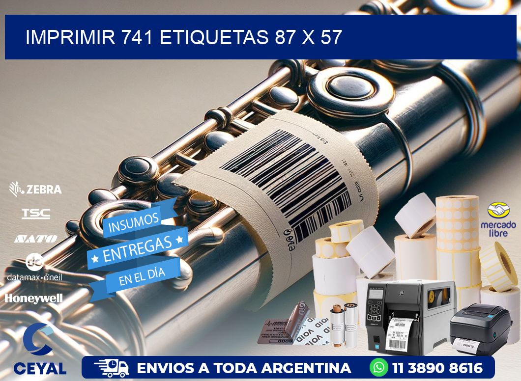 IMPRIMIR 741 ETIQUETAS 87 x 57