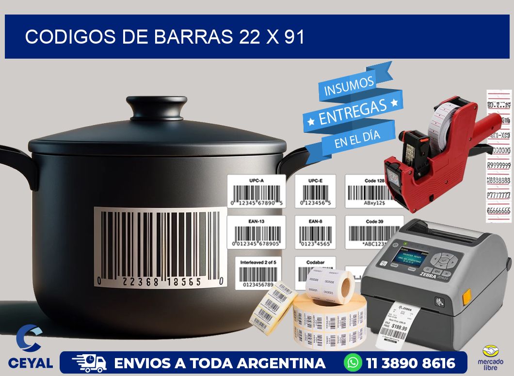 codigos de barras 22 x 91