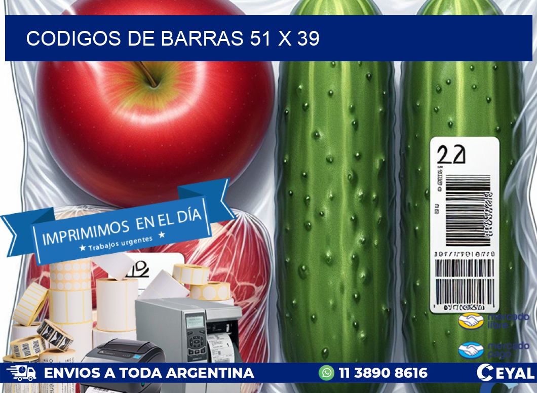 codigos de barras 51 x 39