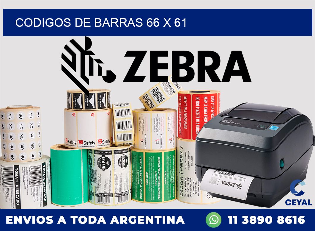 codigos de barras 66 x 61