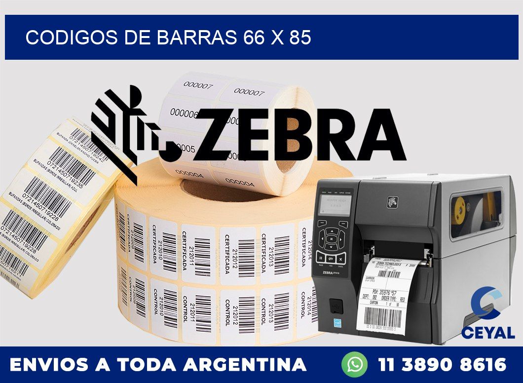 codigos de barras 66 x 85
