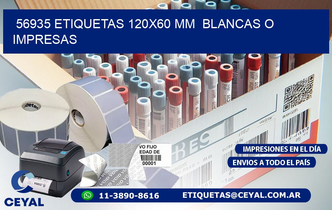 56935 ETIQUETAS 120×60 mm  BLANCAS O IMPRESAS