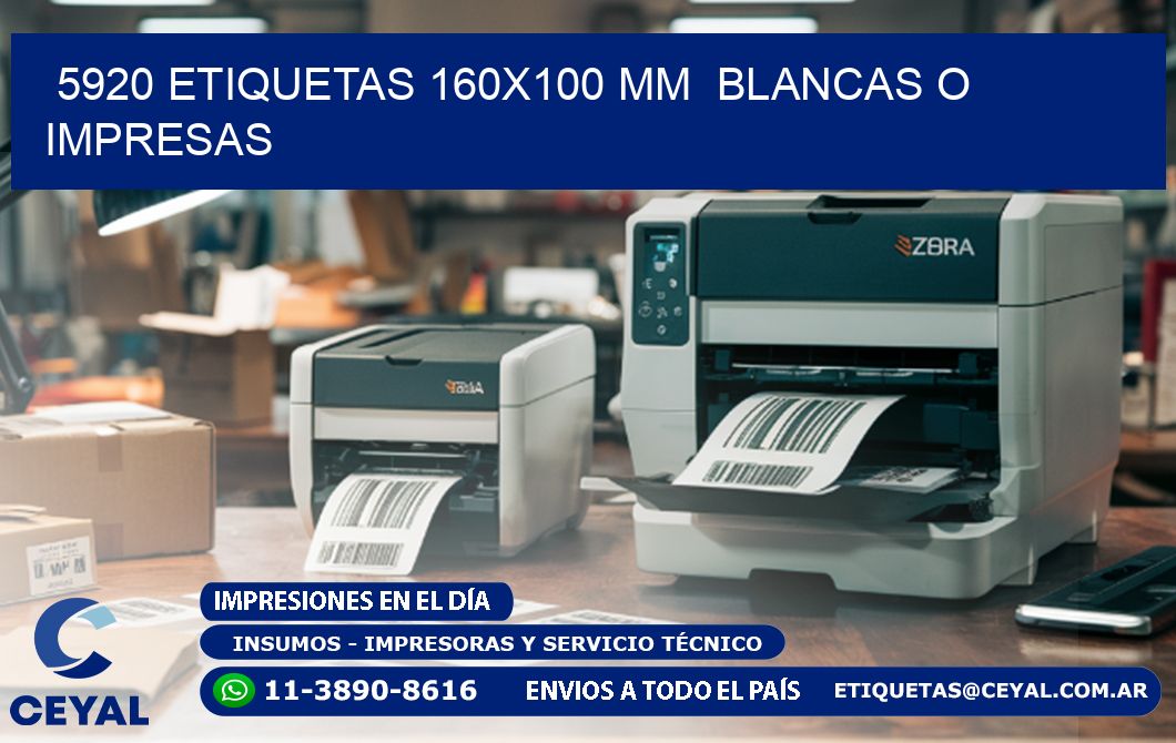 5920 ETIQUETAS 160x100 mm  BLANCAS O IMPRESAS