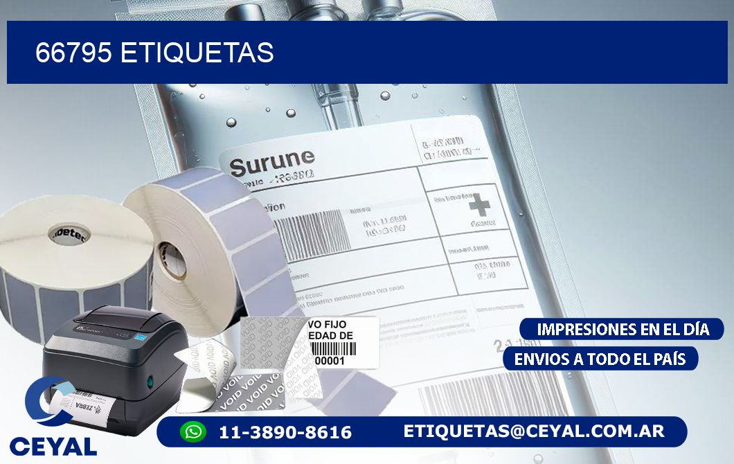 66795 ETIQUETAS