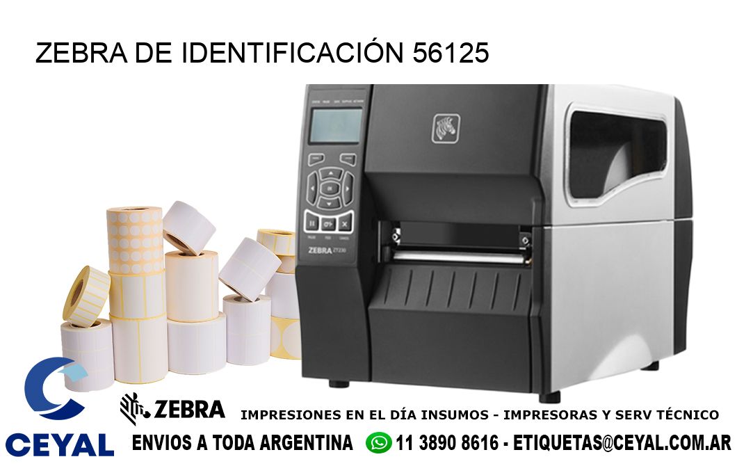 ZEBRA DE IDENTIFICACIÓN 56125