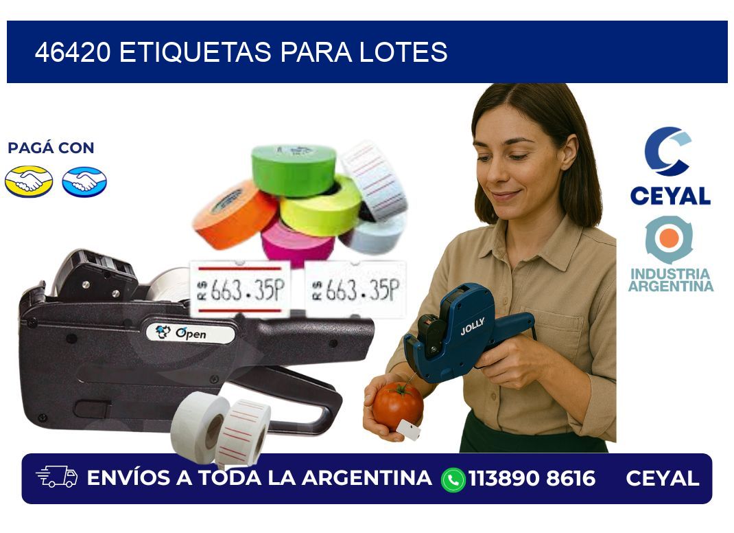 46420 ETIQUETAS PARA LOTES