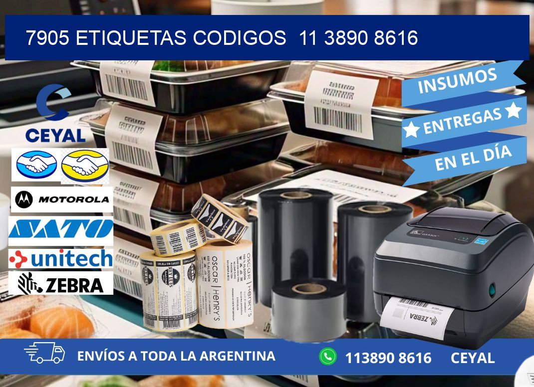 7905 ETIQUETAS CODIGOS  11 3890 8616