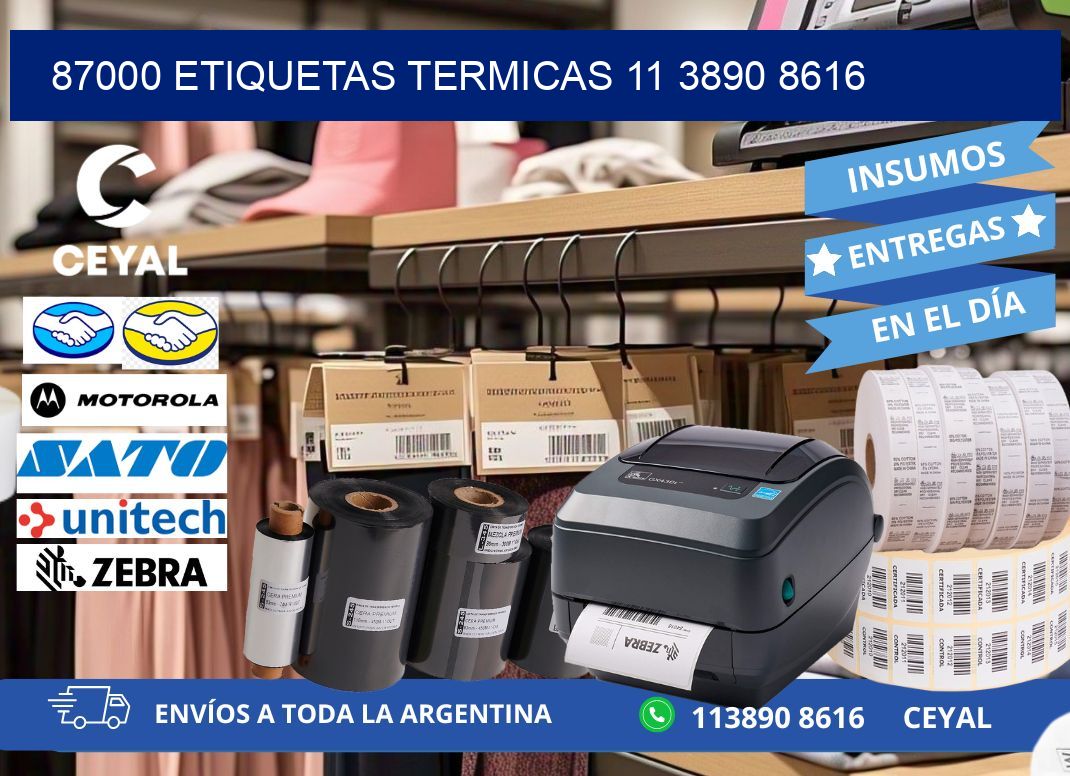 87000 ETIQUETAS TERMICAS 11 3890 8616