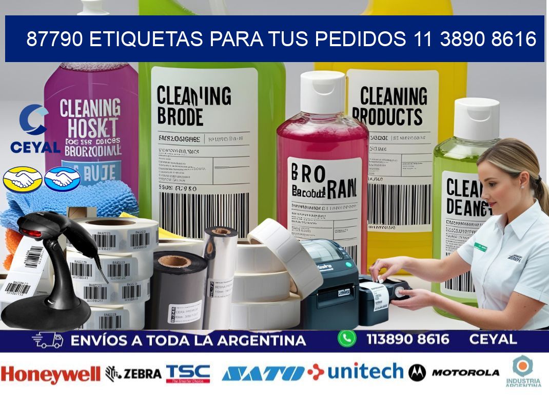87790 ETIQUETAS PARA TUS PEDIDOS 11 3890 8616