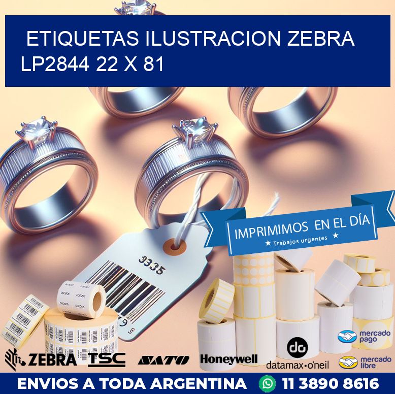 ETIQUETAS ILUSTRACION ZEBRA LP2844 22 x 81