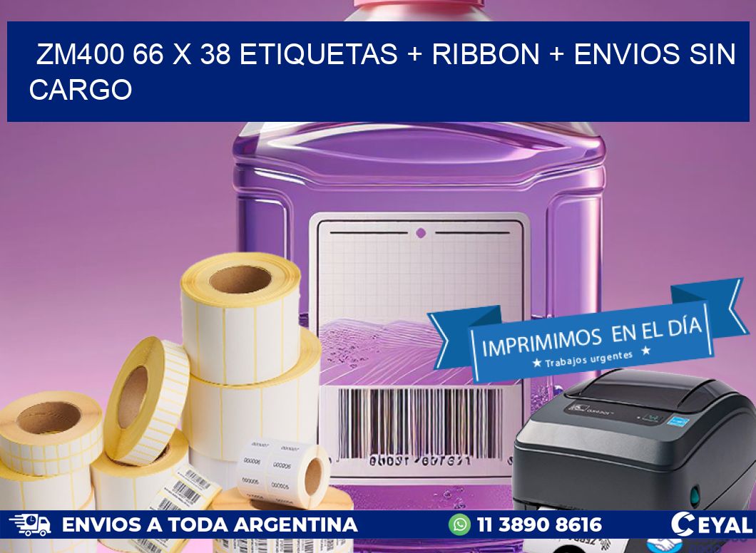 ZM400 66 x 38 etiquetas + ribbon + envios sin cargo