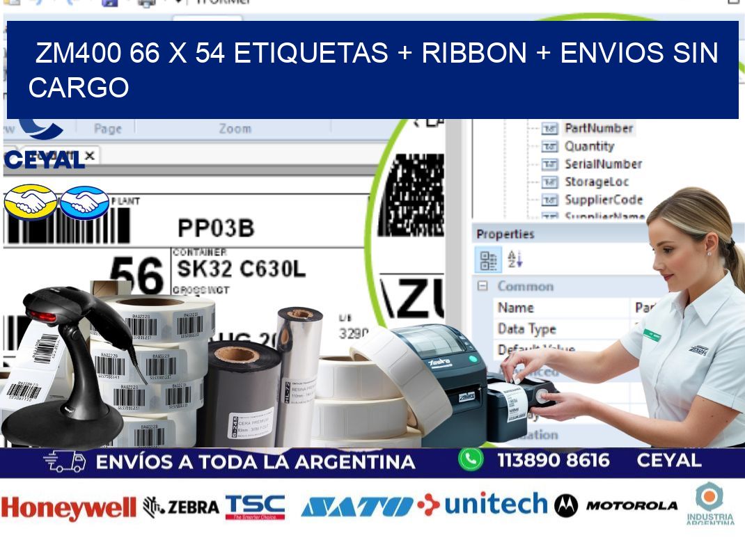 ZM400 66 x 54 etiquetas + ribbon + envios sin cargo