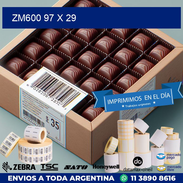 ZM600 97 x 29
