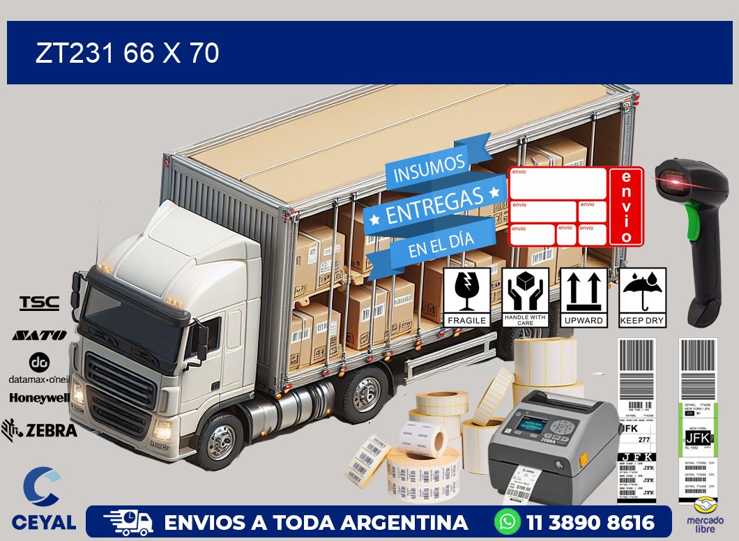 ZT231 66 x 70