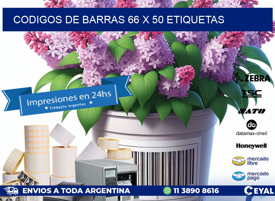 codigos de barras 66 x 50 etiquetas
