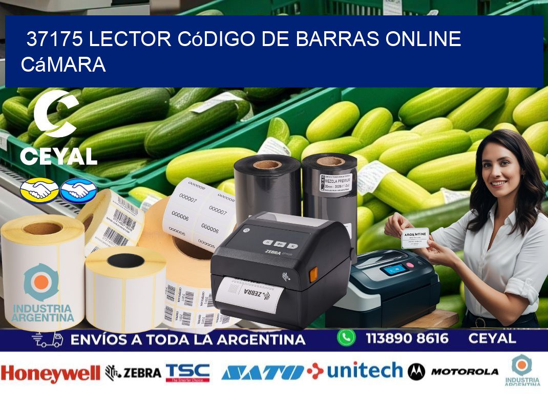 37175 Lector código de barras online cámara