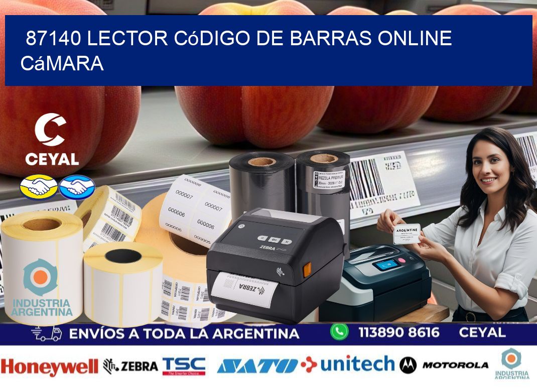 87140 Lector código de barras online cámara