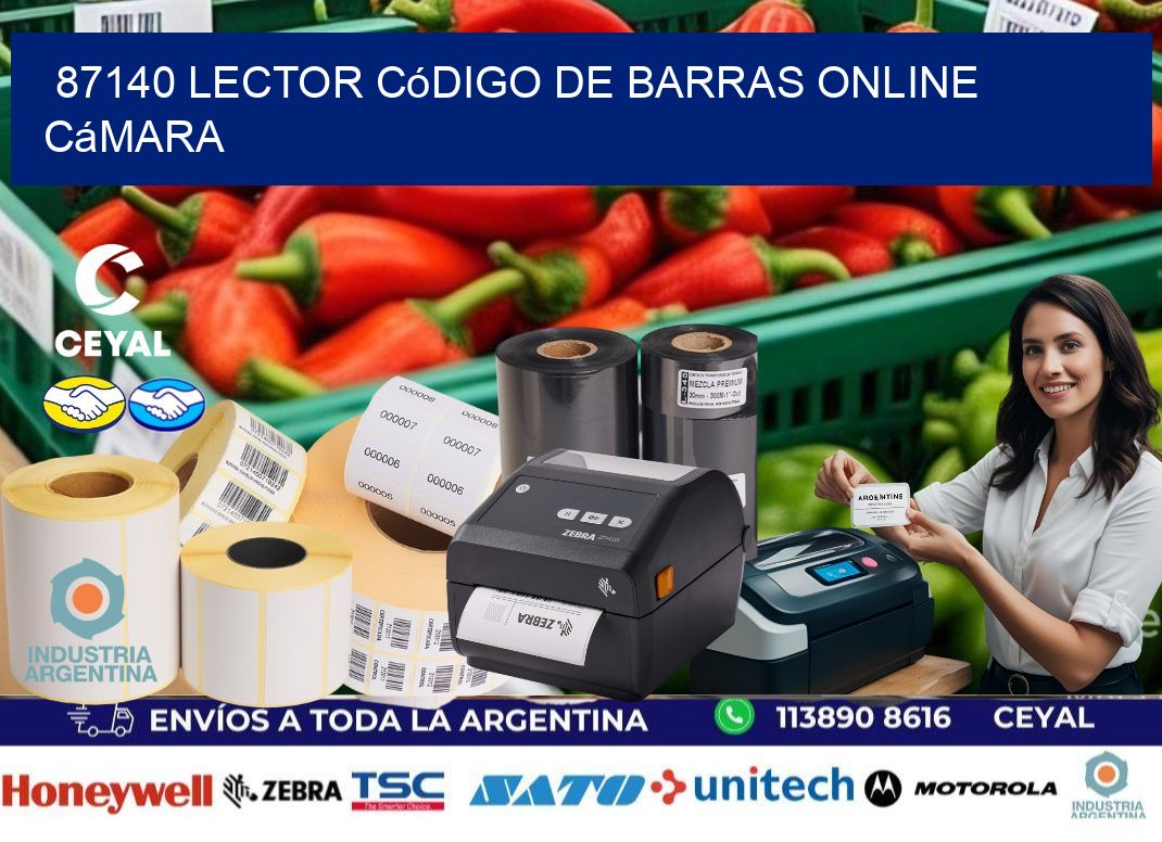 87140 Lector código de barras online cámara