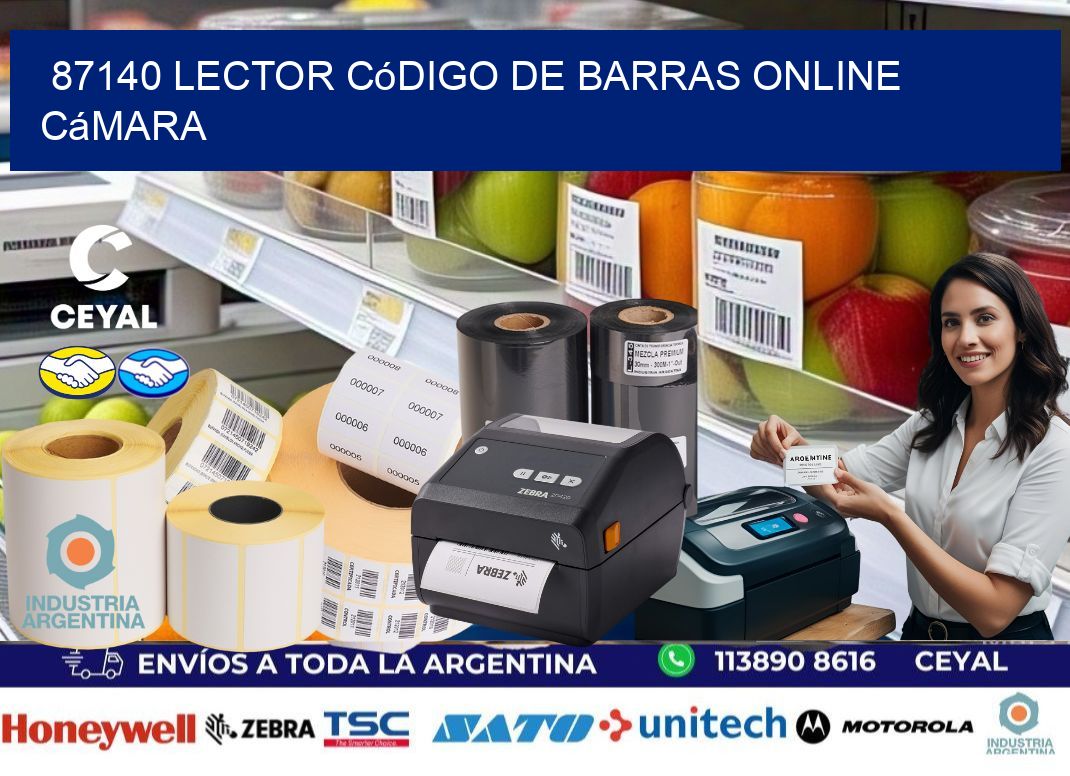87140 Lector código de barras online cámara