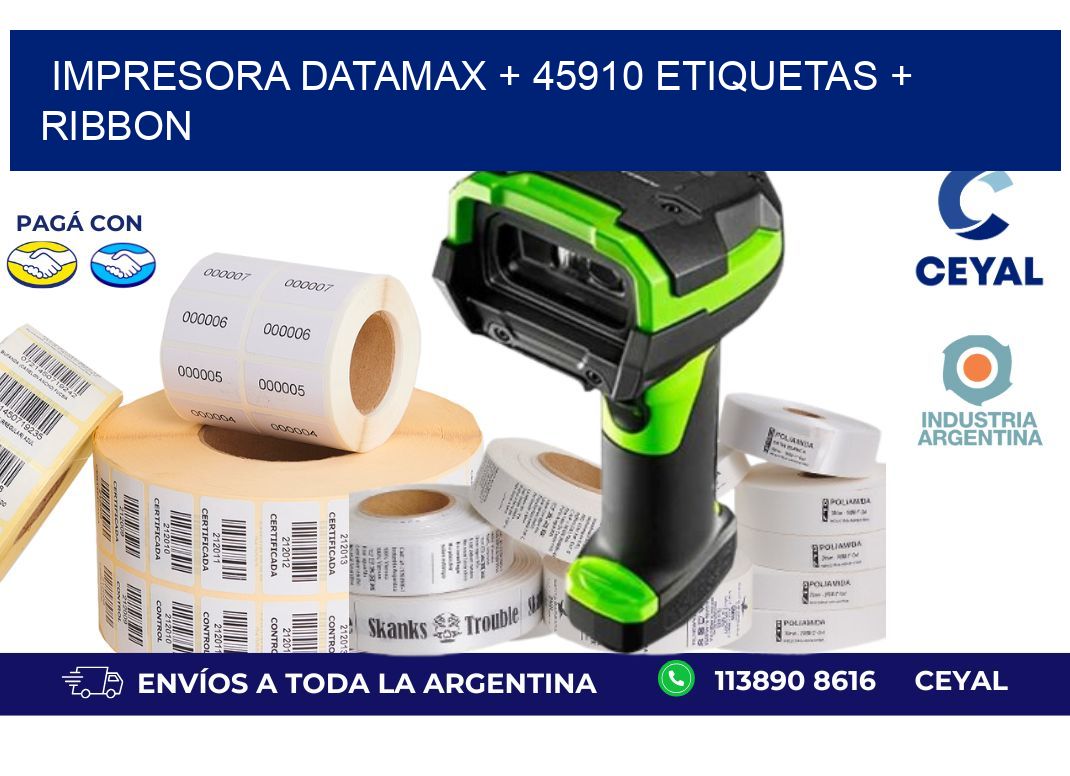 impresora DATAMAX + 45910 etiquetas + ribbon