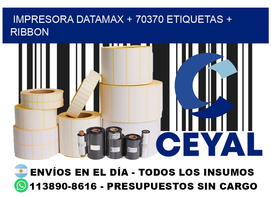 impresora DATAMAX + 70370 etiquetas + ribbon