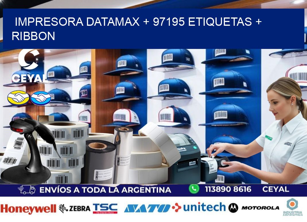 impresora DATAMAX + 97195 etiquetas + ribbon