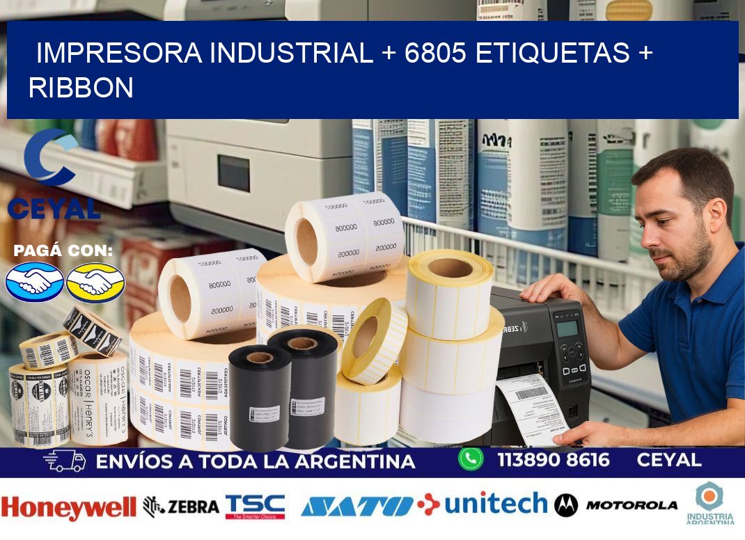 impresora industrial + 6805 etiquetas + ribbon
