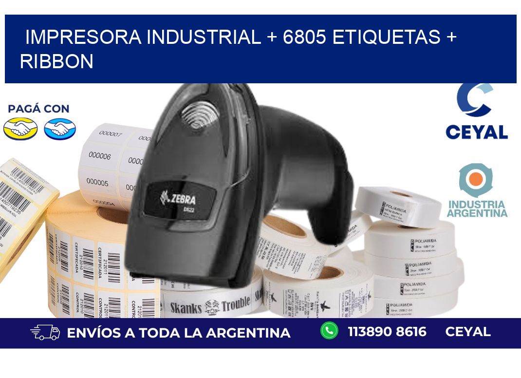 impresora industrial + 6805 etiquetas + ribbon