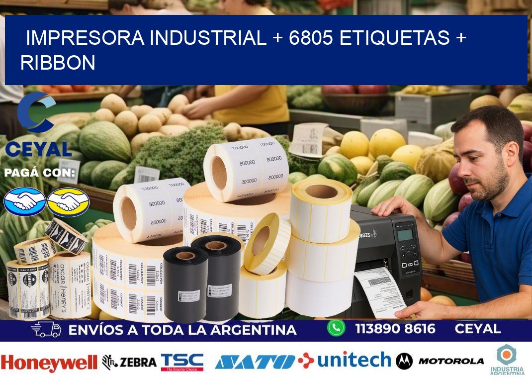 impresora industrial + 6805 etiquetas + ribbon