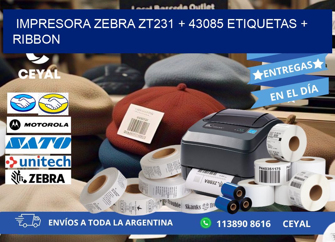 impresora zebra zt231 + 43085 etiquetas + ribbon