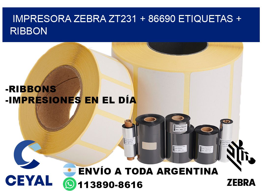 impresora zebra zt231 + 86690 etiquetas + ribbon
