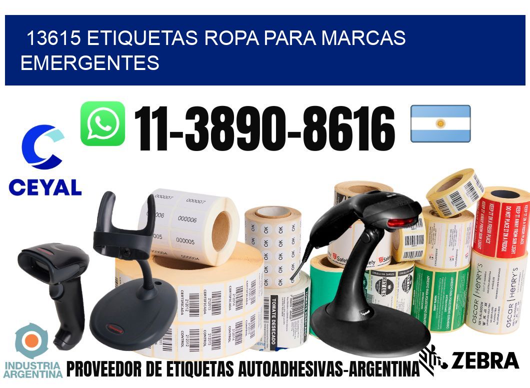 13615 Etiquetas ropa para marcas emergentes