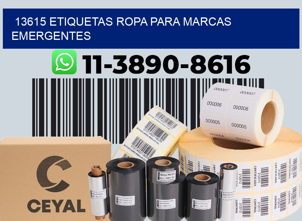 13615 Etiquetas ropa para marcas emergentes