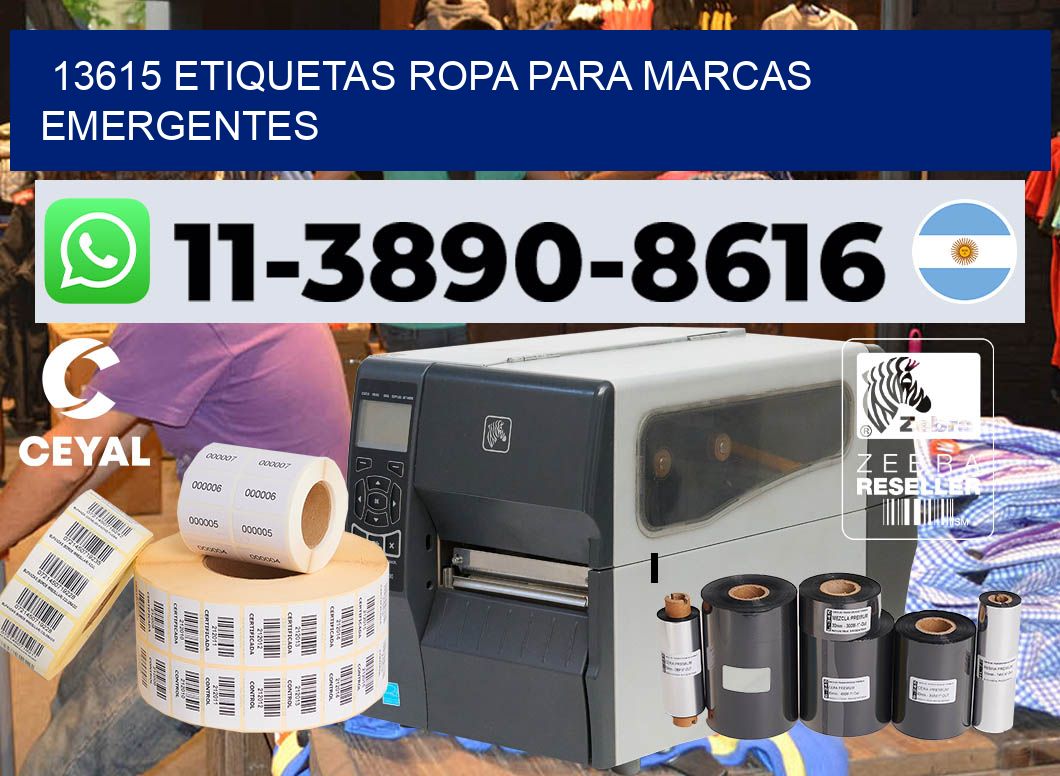 13615 Etiquetas ropa para marcas emergentes