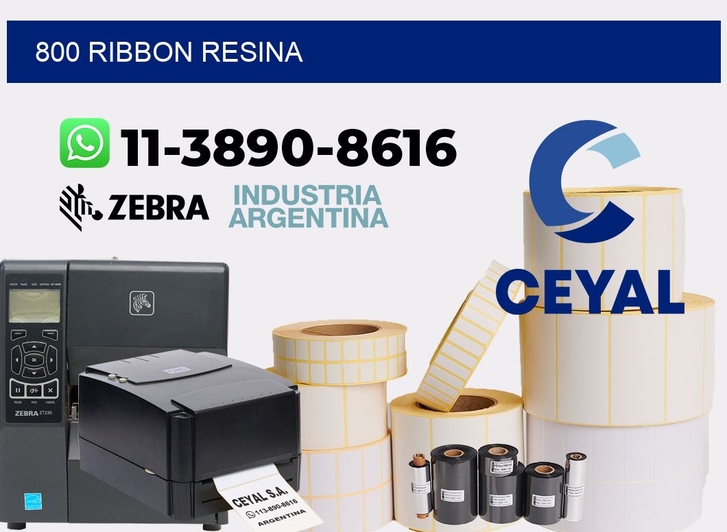800 ribbon resina