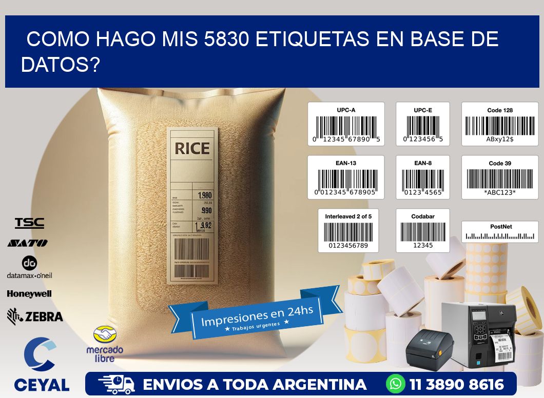 como hago mis 5830 etiquetas en base de datos?