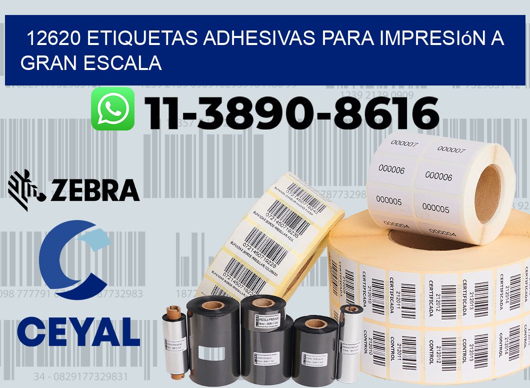 12620 Etiquetas adhesivas para impresión a gran escala