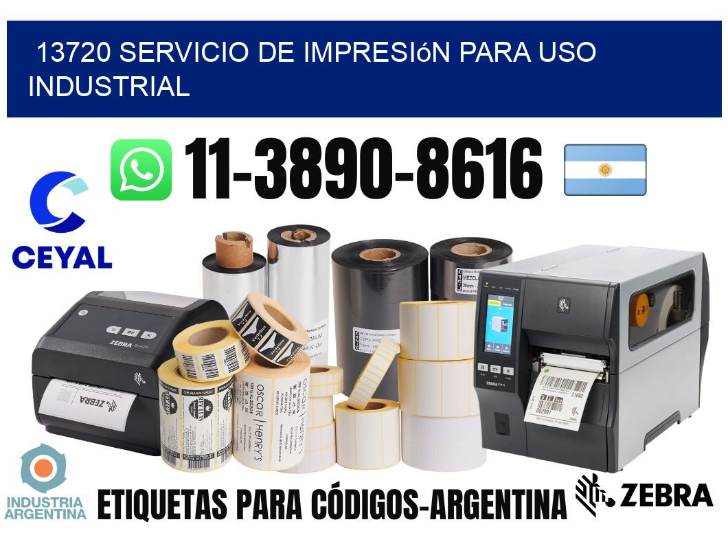 13720 Servicio de impresión para uso industrial