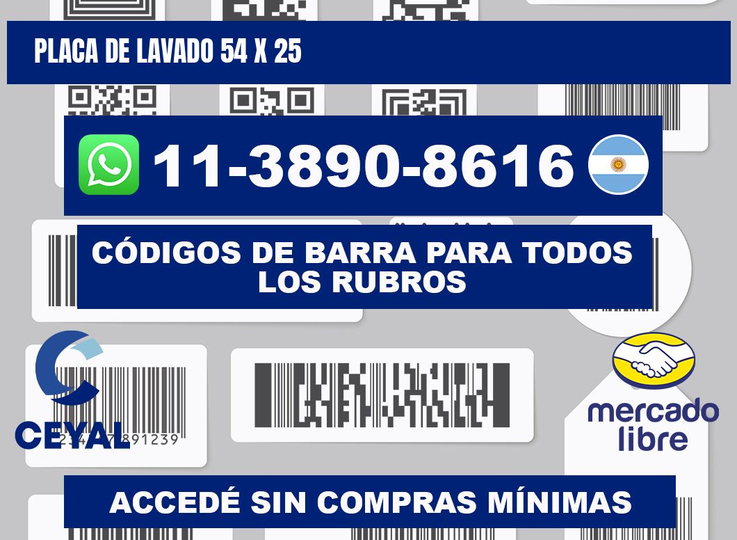 Placa de lavado 54 x 25
